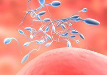 夫妻5年未孕,离异再婚各自得子