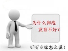 卵泡发育不好的原因