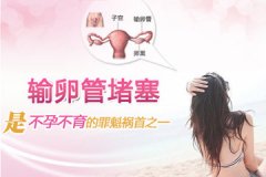 做输卵管疏通会疼吗?