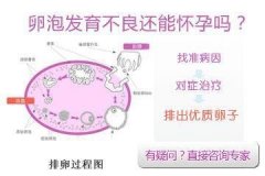 卵泡发育慢是怎么一回事?