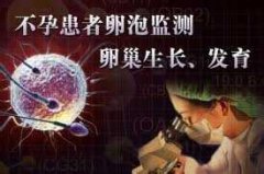 卵泡监测多少钱呢，贵吗?