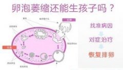 卵泡萎缩是怎么回事呢?