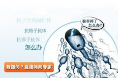 产生抗精子抗体怎么办?