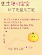  女性朋友们，怎么来提高卵子的质量呢?