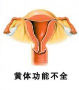 黄体酮是什么呢