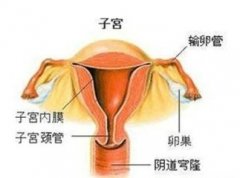 子宫积液是怎么一回事呢?