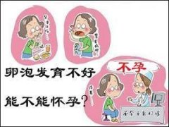 卵泡发育不良怎么办呢?