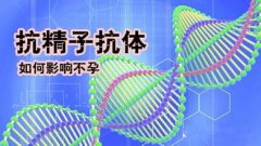 抗精子抗体怎么来测定?