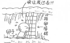 专家介绍：排卵障碍要怎么治疗