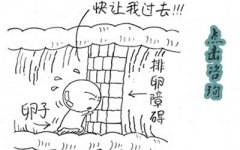 不排卵要怎么办?