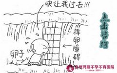 排卵期不排卵怎么治疗？