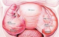 输卵管不通宫腔较小