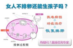 不排卵会怀孕吗