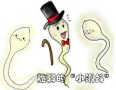 精子质量不好检查多少钱