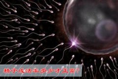 精子成活率多少正常
