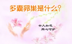 多囊卵巢形成原因