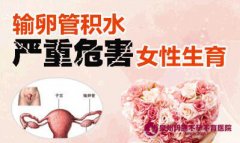 为什么会输卵管积水不孕