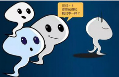 精子畸形会导致流产吗