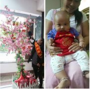 听说这有棵很灵的许愿树，能让你梦想成真